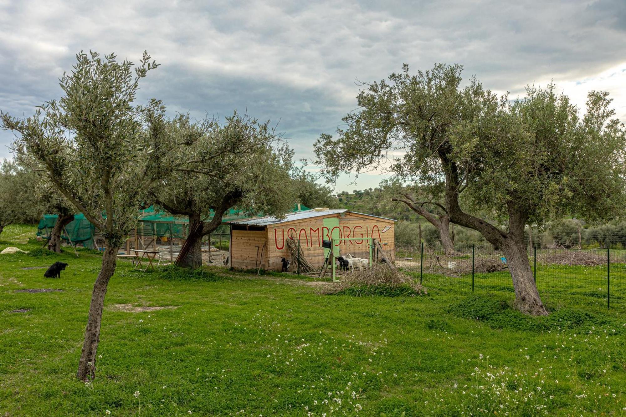Masseria Usamborgia Noto Exterior foto